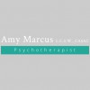 Amy Marcus LCSW CASAC